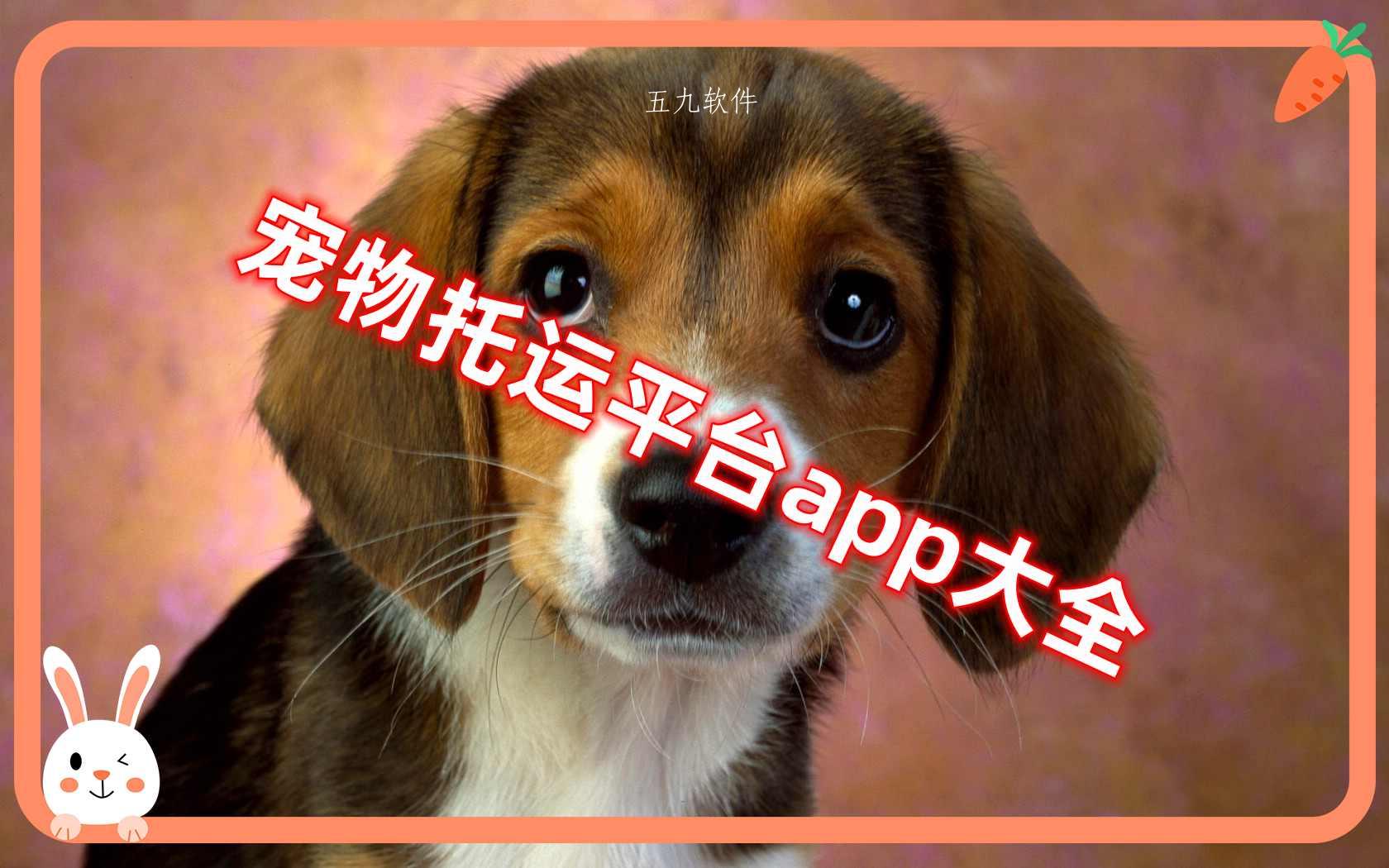 宠物托运平台app大全 宠物托运平台app大全