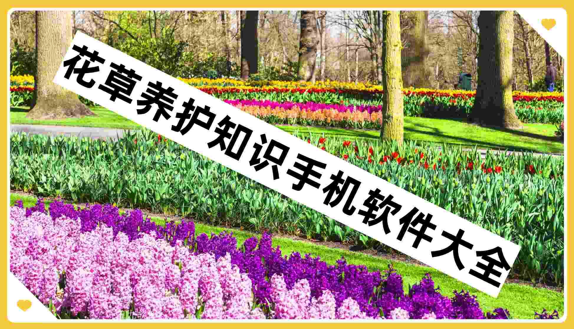 花草养护知识手机软件大全 花草养护知识手机软件大全
