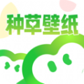 种草壁纸app