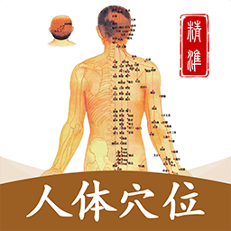 穴位经脉详解app下载