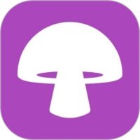 蘑菇视频mogula 2.9.5.2 安卓版