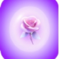 知悠社交app免费版