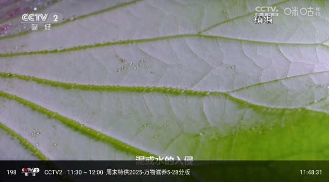 秋水视频tv版截图3