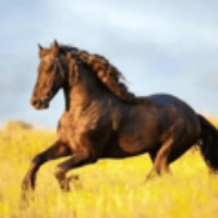 yourtv你的电视TV最新版 1.9.3