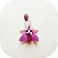 兰花交友app安卓官方版