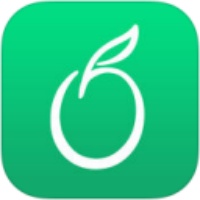 青苹果88810私人手机