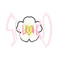 术力口动漫app下载