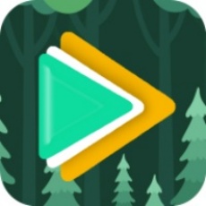 冬青影评免广告版2026