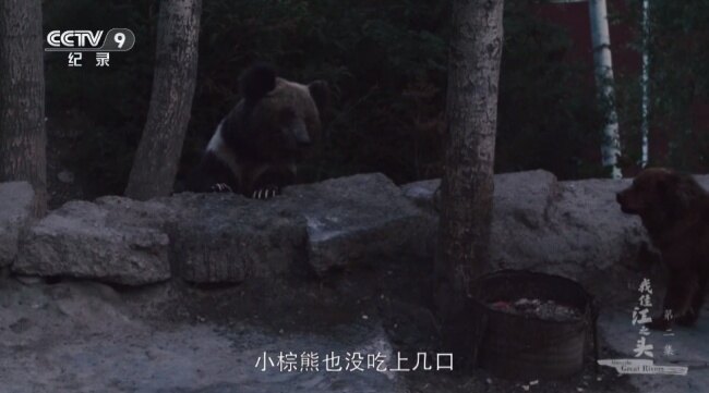 蓝光4k影视tv版下载2026最新版