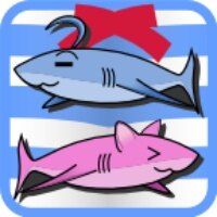 鸑鷟镜花水月手机版下载