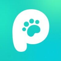 宠拍档app安卓官方版下载