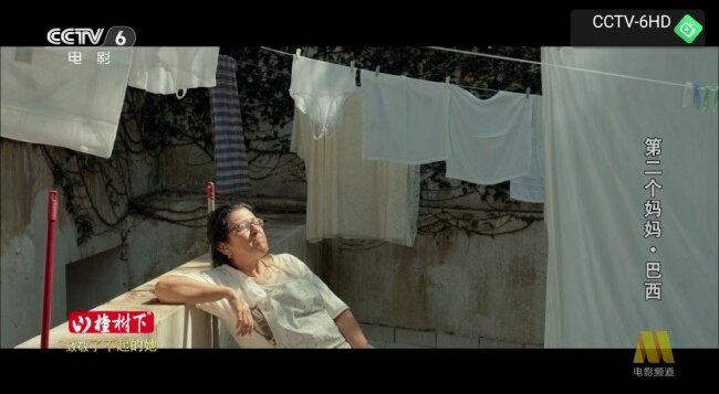 昭昭Tv官方入口免费下载