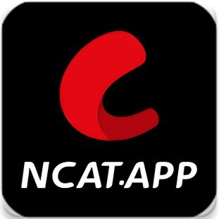 网飞猫官网版下载