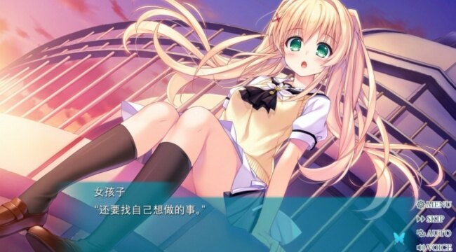 夏日口袋RB版下载2026最新版