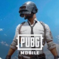 绝地pubg中文版下载2026