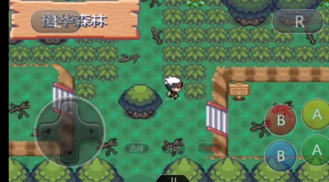 口袋妖怪伽马绿宝石内置菜单