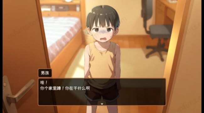 Namaiki游戏下载汉化版