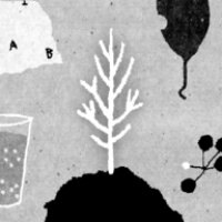 她的树游戏下载安装