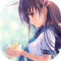 narcissu手机汉化下载