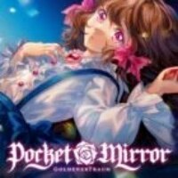 pocket mirror手机版下载