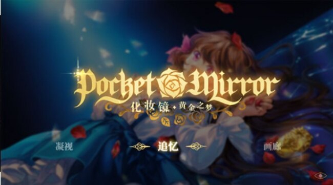 pocket mirror化妆镜下载2026最新版