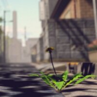 蒲公英不屈游戏免费下载