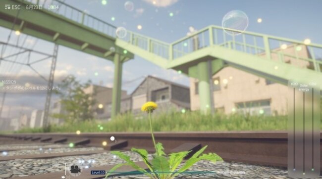 蒲公英不屈游戏免费下载